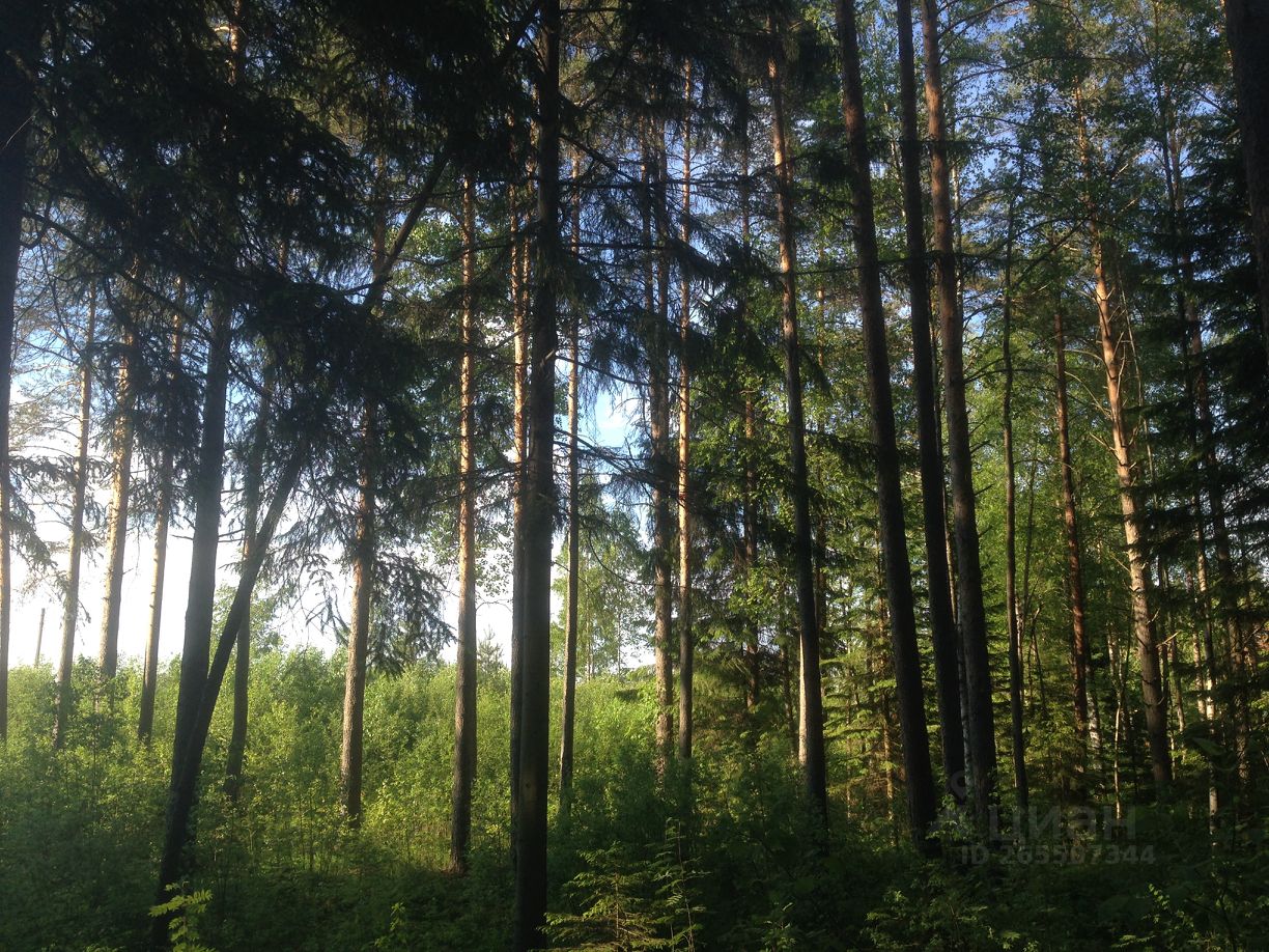 Купить загородную недвижимость в коттеджном поселке Новый мир в поселке  Ленинское, продажа загородной недвижимости - база объявлений Циан. Найдено  1 объявление