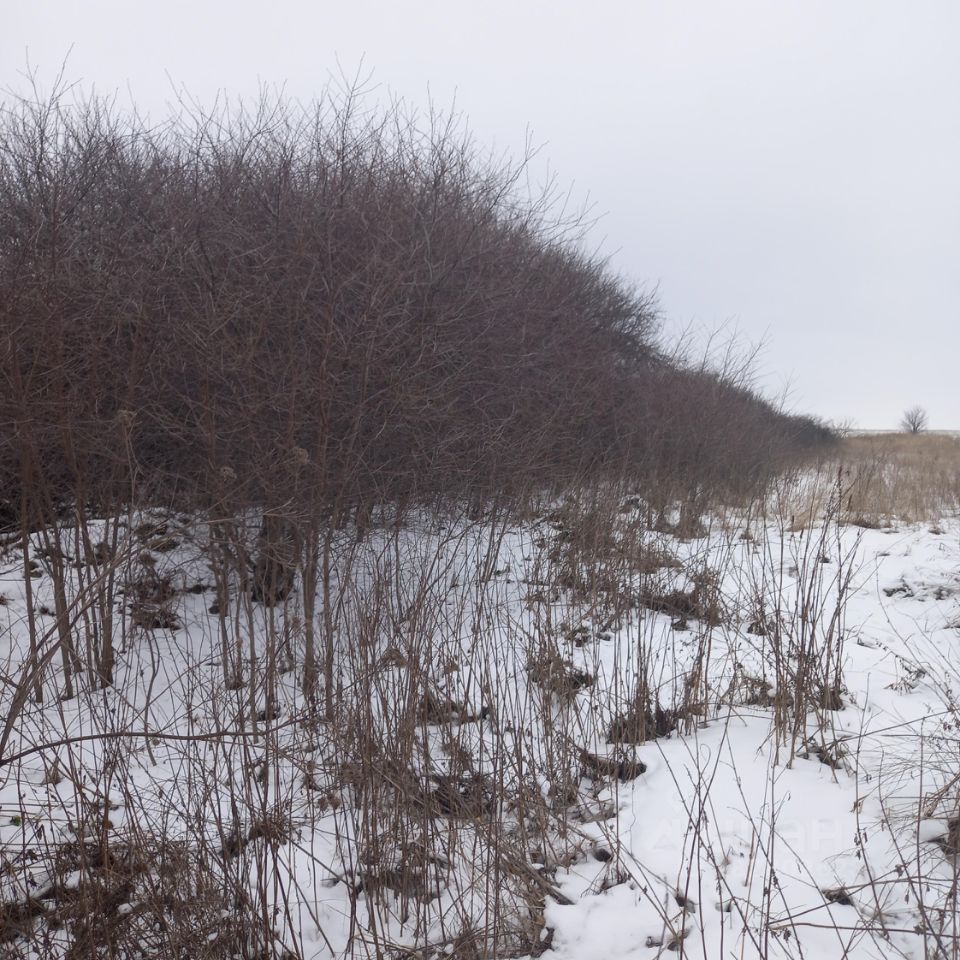 Купить загородную недвижимость на улице Луговая в деревне Новоселье в  сельсовет Замартыновский, продажа загородной недвижимости - база объявлений  Циан. Найдено 2 объявления