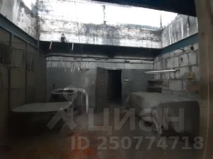 производство 430 м², этаж 2