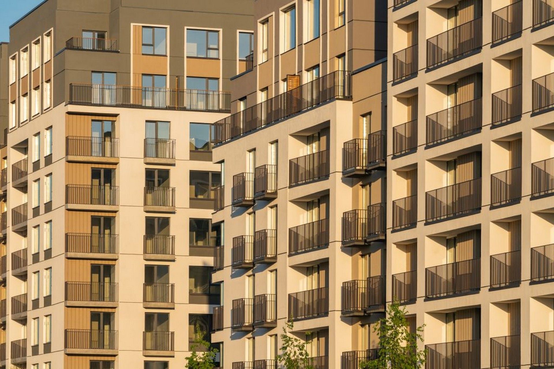 фото ЖК Брусника в Академическом