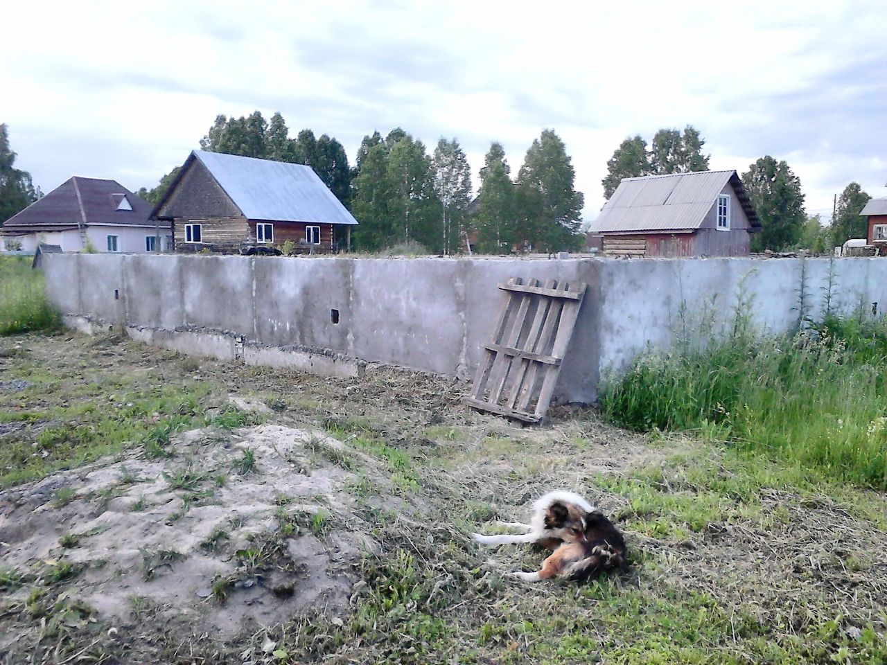 Купить дом в селе Барлак Мошковского района, продажа домов - база  объявлений Циан. Найдено 6 объявлений