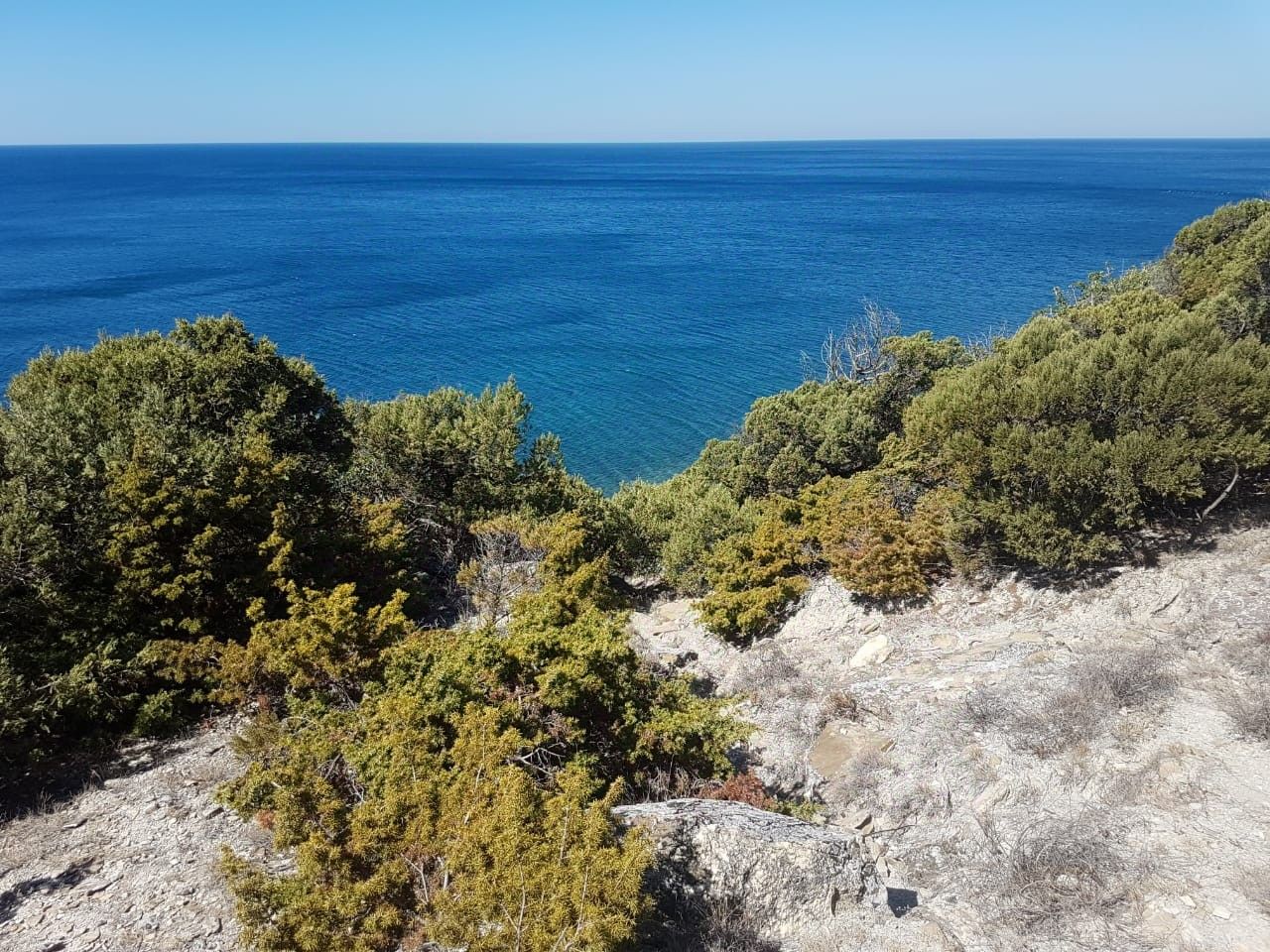 Купить дом на море в Анапе, продажа коттеджей с участком на море в Анапе.  Найдено 504 объявления.