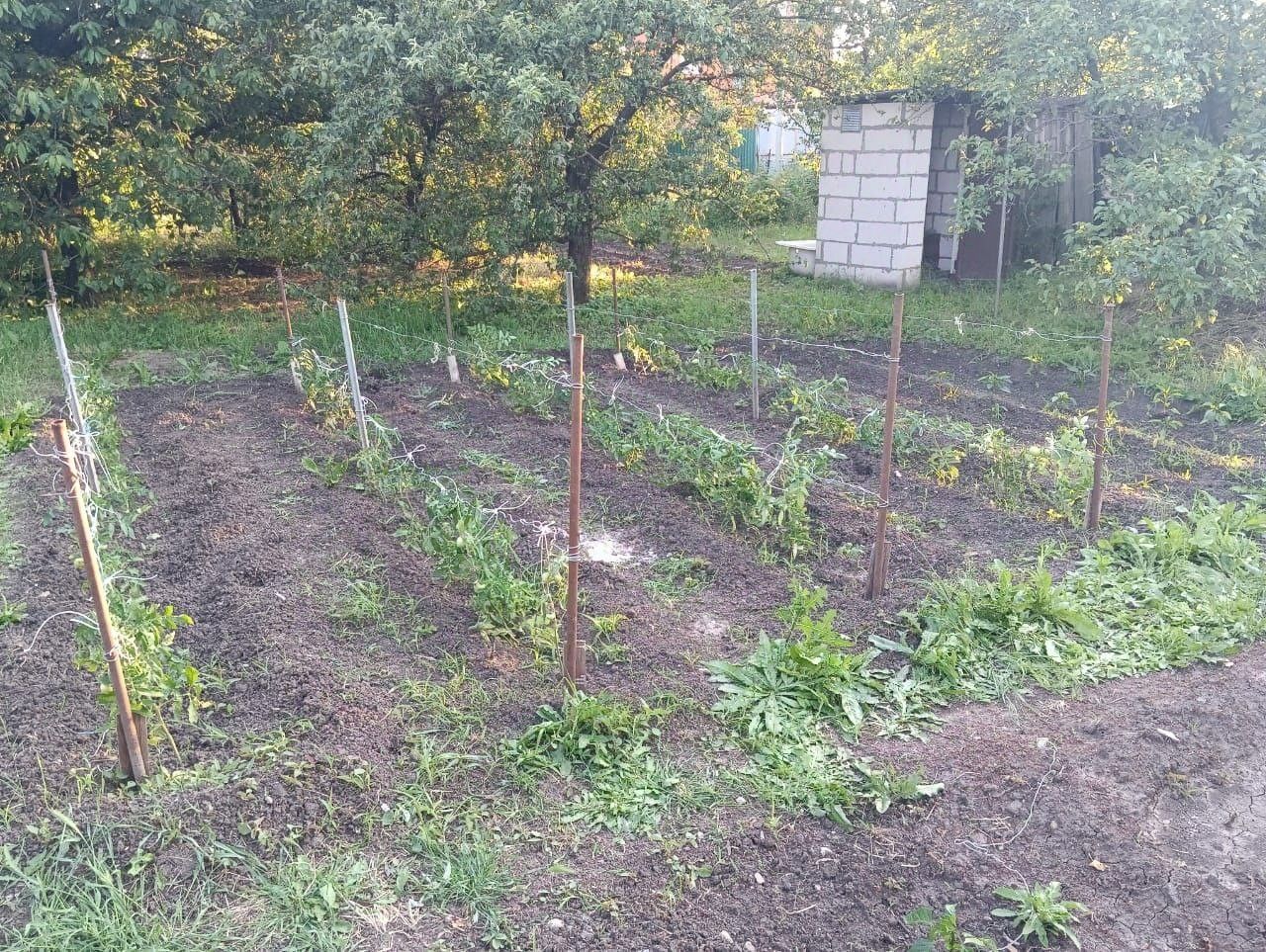 Купить дом в садовое товарищество АТХ-2 в городе Таганрог, продажа домов -  база объявлений Циан. Найдено 1 объявление