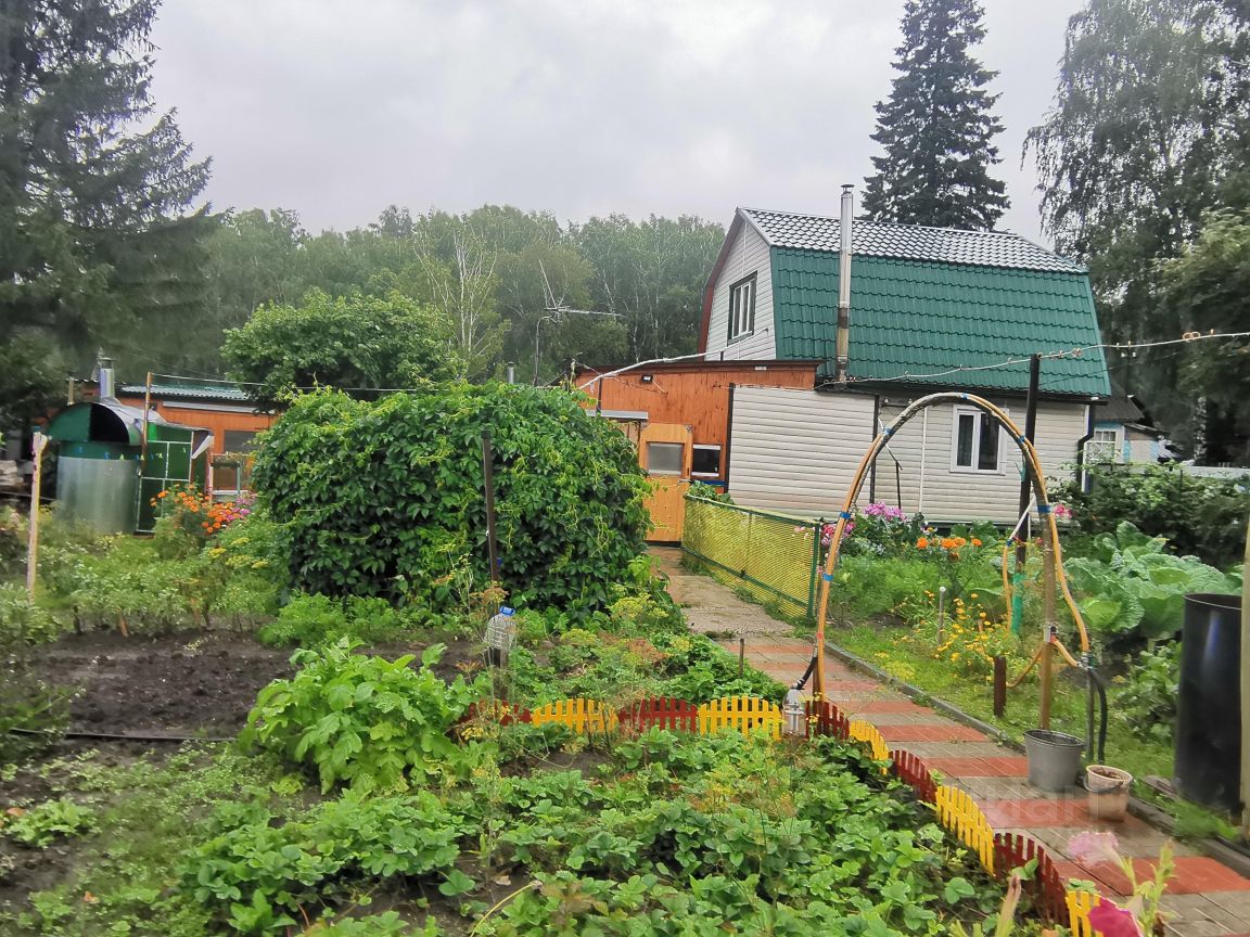 Купить загородную недвижимость в садовое товарищество Банковец в городе  Новосибирск, продажа загородной недвижимости - база объявлений Циан.  Найдено 5 объявлений