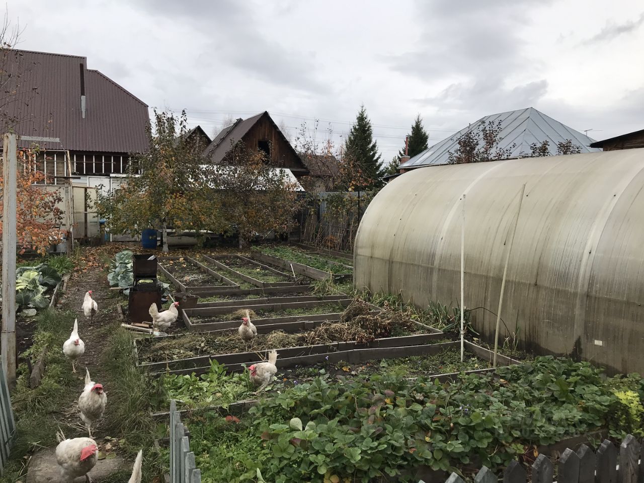 Купить дом в Барнауле, продажа домов - база объявлений Циан. Найдено 377  объявлений