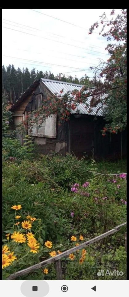 Продается дача в Барнауле, площадь 9 кв.м. Участок с цветами и деревьями, уютное место для отдыха на природе.