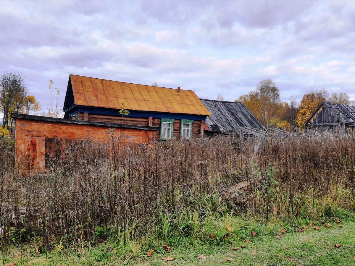 дома село беляйкова (98) фото