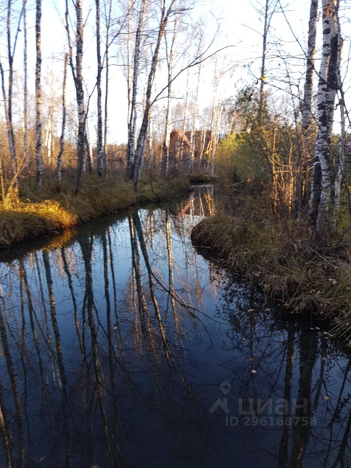 На фотографии изображена природная зона с узким водоемом, окруженным березами и кустарниками. Вода отражает деревья, создавая живописный пейзаж. Участок выглядит ухоженным, с зелеными травами и мелкими растениями по краям. Деревья имеют светлую кору, что придает пространству легкость и свежесть. Вдали виднеется строение, возможно, загородный дом, но детали его архитектуры неразличимы. Общая атмосфера спокойная и умиротворяющая, идеально подходящая для отдыха на природе.