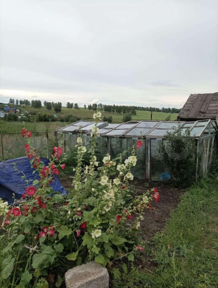 Купить Дачу В Барнауле Снт Березка