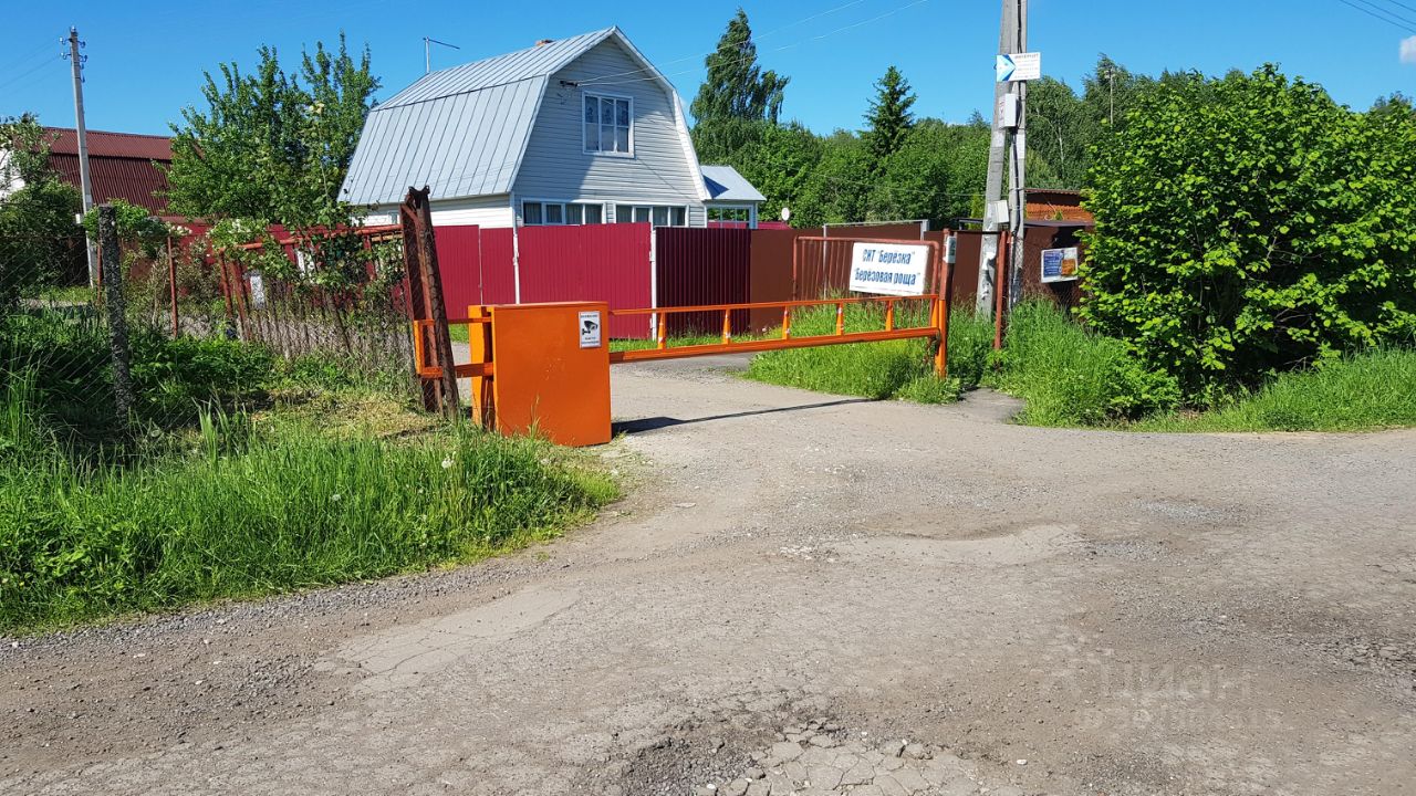 Купить загородную недвижимость в СНТ Березовая Роща в деревне Ольгино,  продажа загородной недвижимости - база объявлений Циан. Найдено 2 объявления