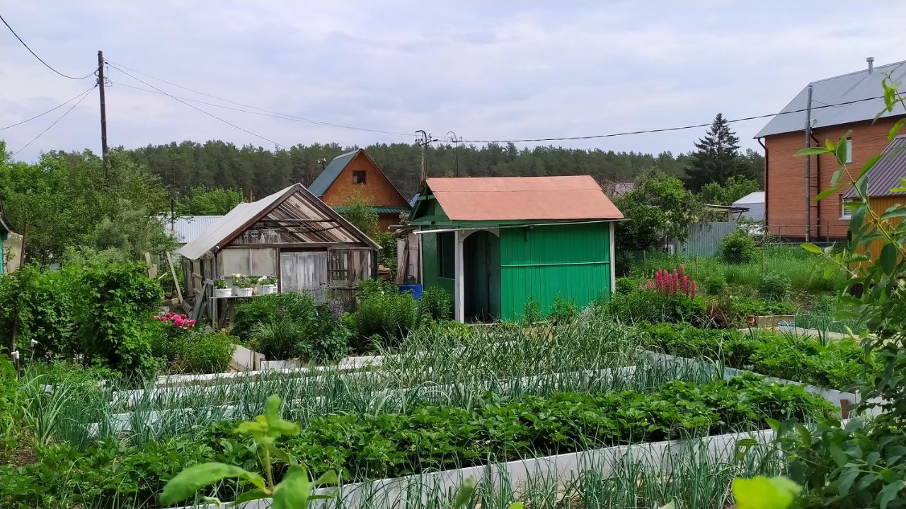 сады дома в березовском свердловской обл (94) фото