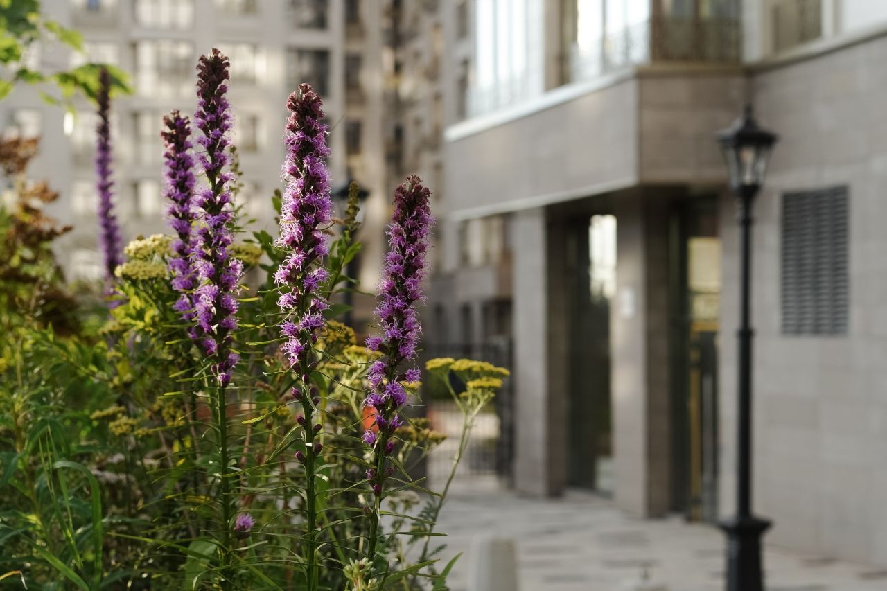 фото ЖК Дом бизнес-класса «Дягилев