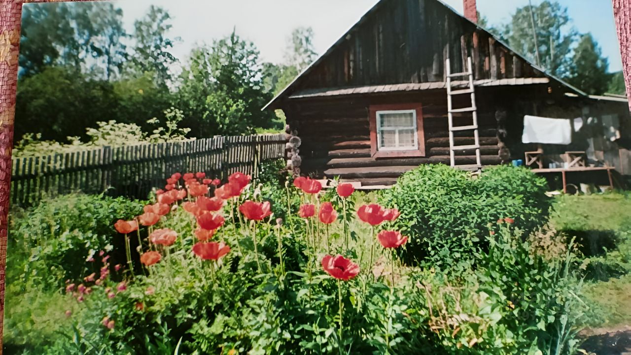 Купить дом в деревне Богданово Карагайский муниципального округа, продажа  домов - база объявлений Циан. Найдено 2 объявления