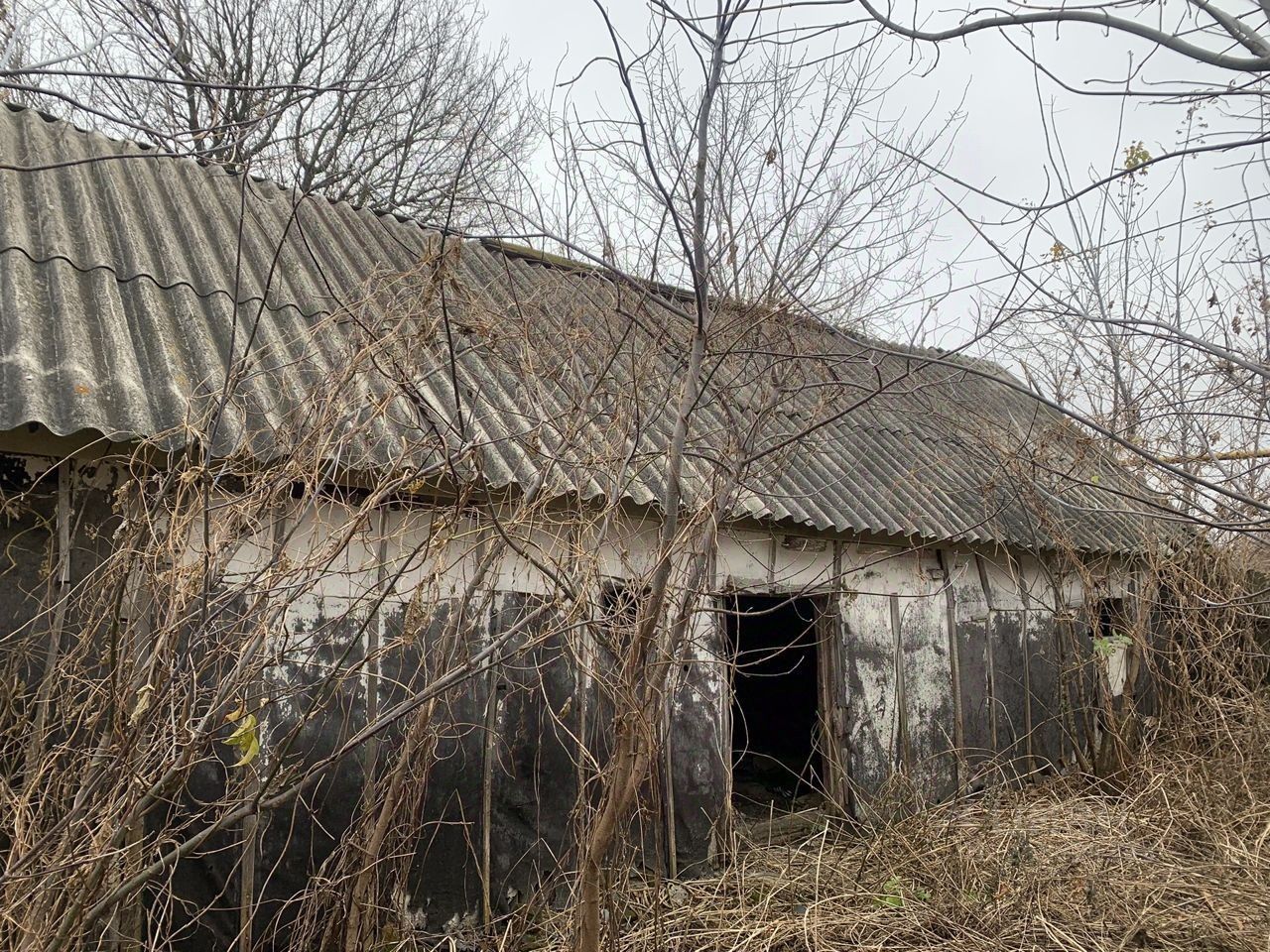 Купить дачу недорого в Чернянском районе Белгородской области. Найдено 2  объявления.