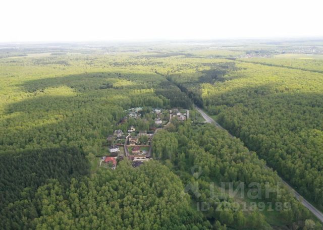 Любовь во время чумы. Габриэль Гарсиа Маркес | PDF