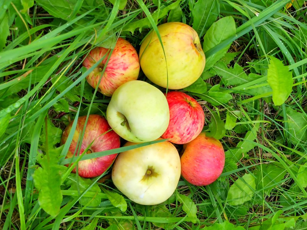 Продается2-этажныйдом,34,1м²