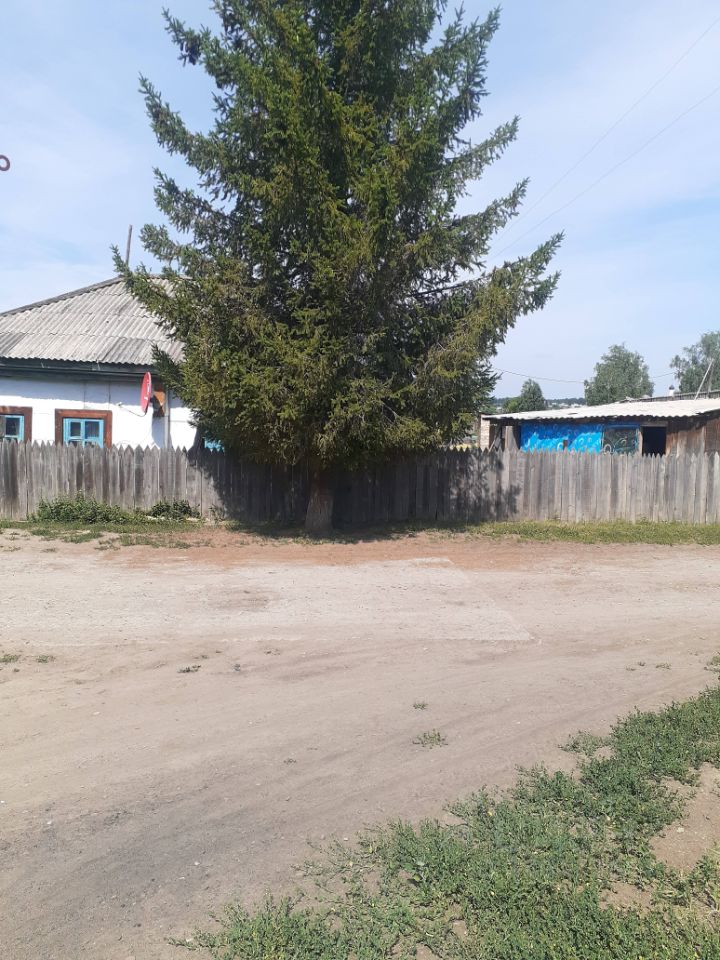 На фотографии представлена сельская местность с домом в традиционном русском стиле. Стены дома выполнены из белого кирпича с деревянными оконными рамами, окрашенными в яркий голубой цвет. Крыша покрыта металлической черепицей. В переднем плане виден большой зеленый ельник, который создает тень. Около дома расположена земля, частично покрытая травой и песком. Забор из деревянных досок окружает участок, добавляя уюта. Пространство выглядит открытым и спокойным, с элементами естественного ландшафта, характерного для деревенской местности.