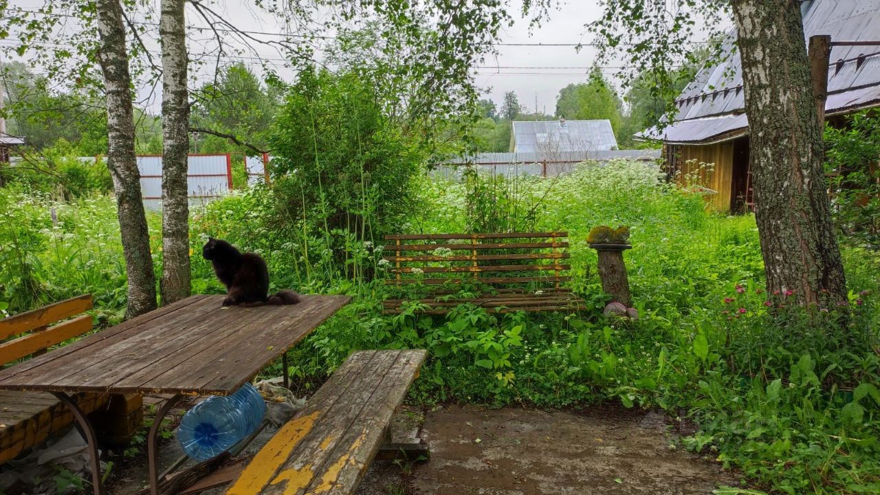 Купить дом в деревне Бутырки Московской области, продажа домов - база  объявлений Циан. Найдено 6 объявлений