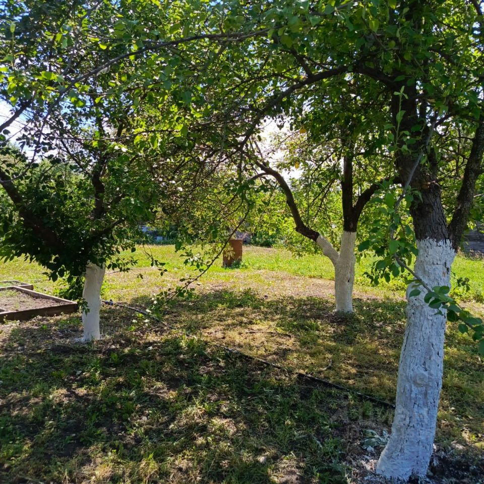 Купить дом в СНТ Цемент в городе Балаково, продажа домов - база объявлений  Циан. Найдено 3 объявления