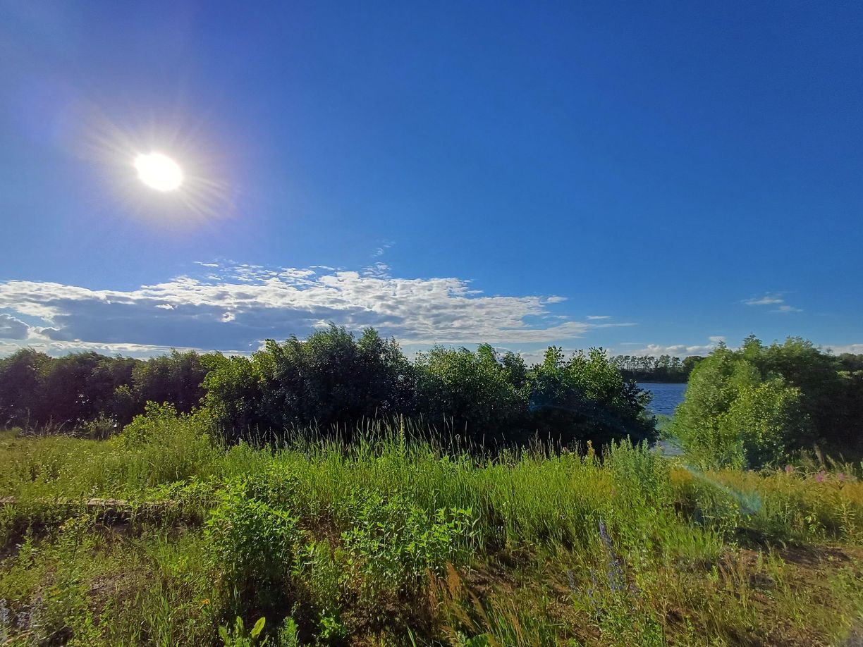 Купить дом в переулке Логовой в городе Чайковский, продажа домов - база  объявлений Циан. Найдено 2 объявления