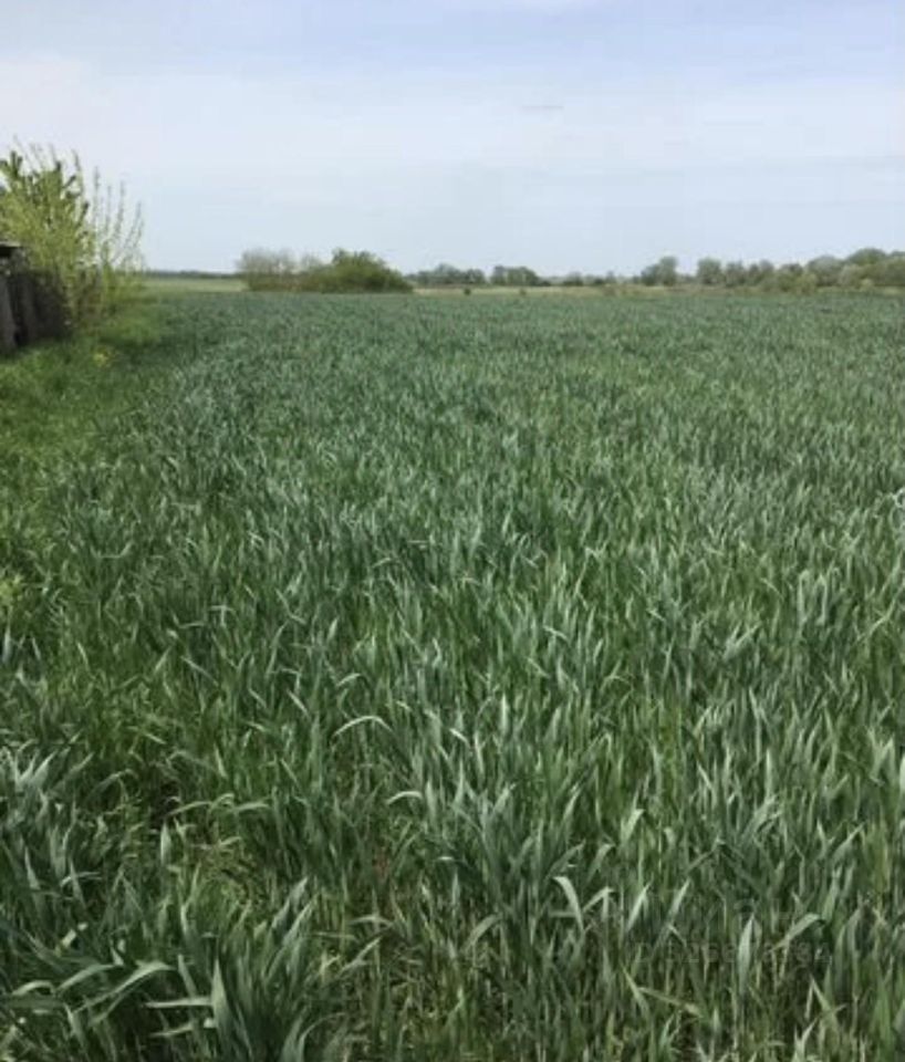 Дом 23.27 м² в Заревское с/пос — фото 12 из 19