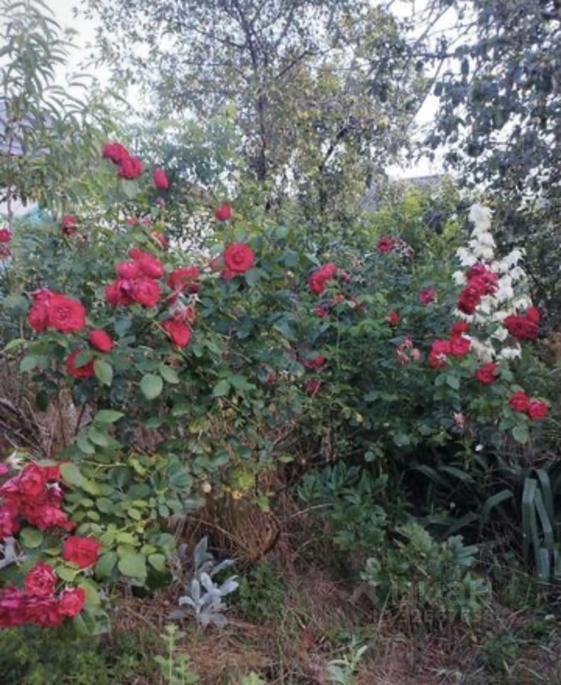 Дом 23.27 м² в Заревское с/пос — фото 15 из 19