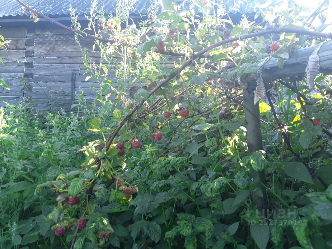 Купить дом без посредников в поселке городского типа Дарасун Карымского  района от хозяина, продажа домов с участком от собственника в поселке  городского типа Дарасун Карымского района. Найдено 3 объявления.