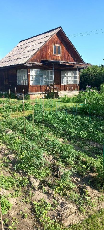 Деревянный дом в традиционном русском стиле с наклонной крышей и большими окнами, обрамленными белыми занавесками. Фасад выполнен из темного дерева, что придает уютный вид. Участок окружен ухоженным огородом с рядами растущих овощей, таких как помидоры и зелень. Земля вокруг растений рыхлая, с видимыми грядками, подпертыми опорами. Пространство выглядит живописно и естественно, создавая атмосферу загородной жизни.