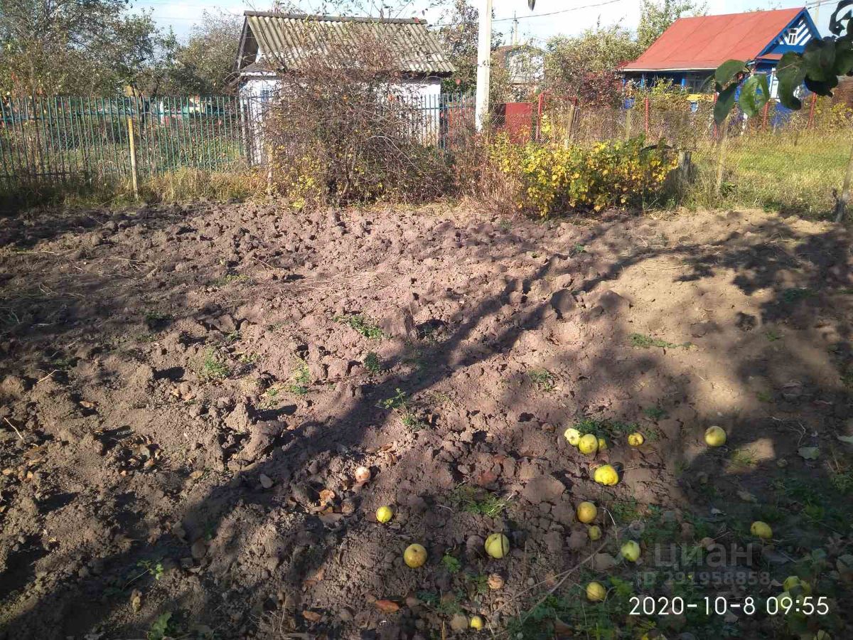 Купить загородную недвижимость в садовое дачное товарищество Дружба в  поселке городского типа Кугеси, продажа загородной недвижимости - база  объявлений Циан. Найдено 1 объявление