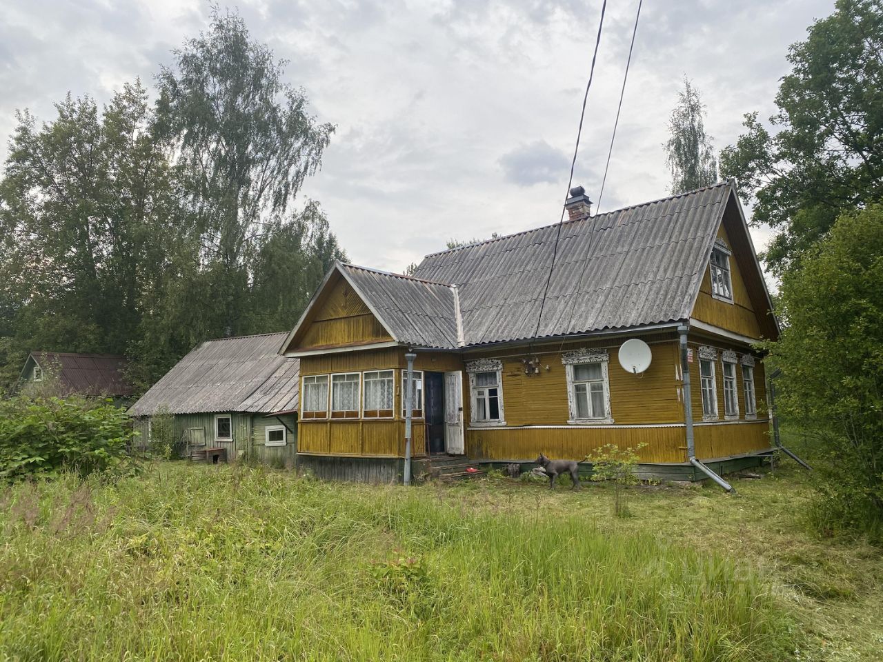 Продаю дом 14,5сот. ул. Введенского, Ленинградская область, Гатчинский  район, Дружная Горка городской поселок - база ЦИАН, объявление 294741380