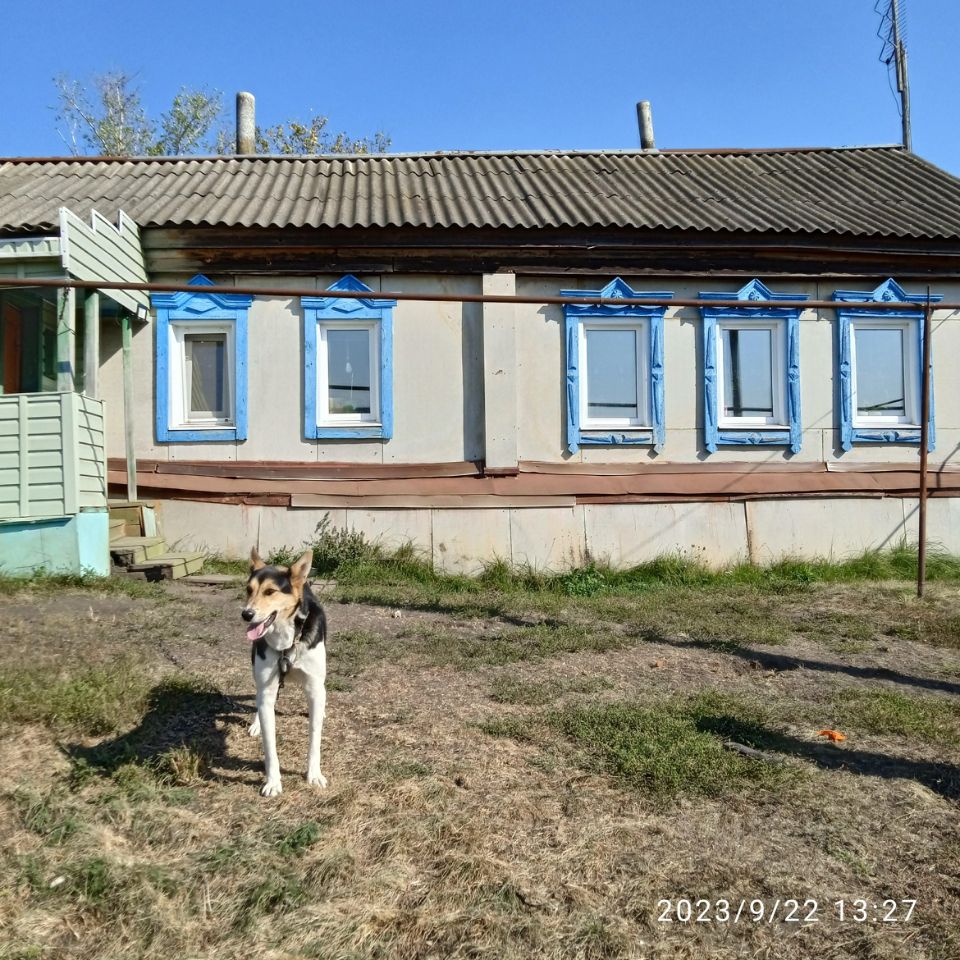 Купить дом с газом в селе Дубровки Спасского района, продажа домов с газом  в селе Дубровки Спасского района. Найдено 2 объявления.