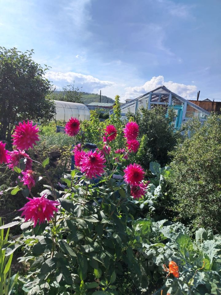 Дом в Забайкальский край, Чита Эдельвейс СНТ, 96 (40 м²)