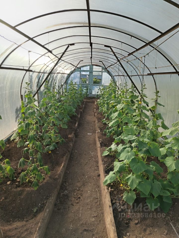 Дом в Забайкальский край, Чита Эдельвейс СНТ, 96 (40 м²)