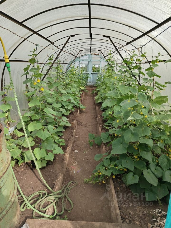 Дом в Забайкальский край, Чита Эдельвейс СНТ, 96 (40 м²)