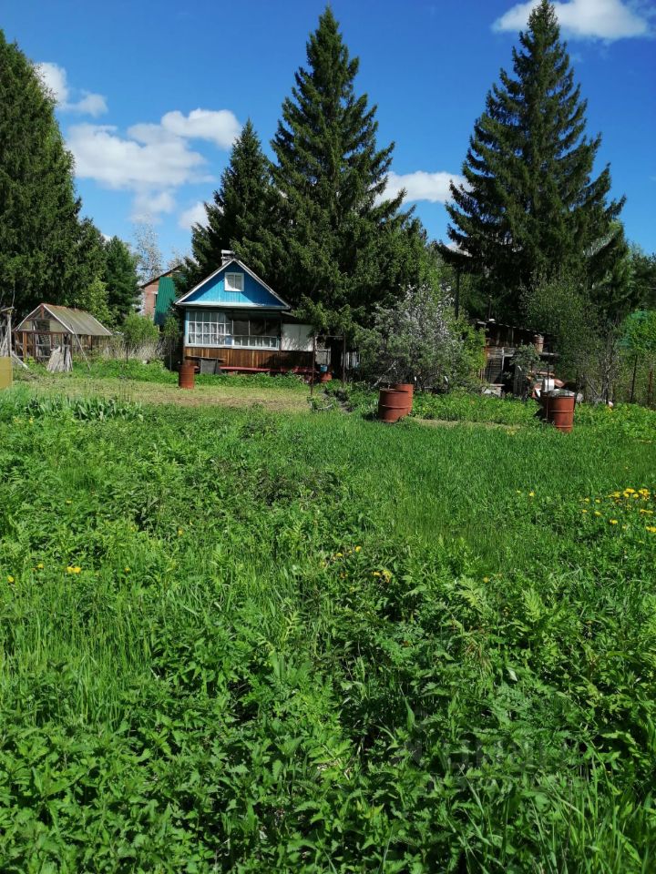 На фотографии представлено дачное строение в традиционном русском стиле с ярко-синим фасадом и большими окнами. Строение окружено зелеными насаждениями и высокими деревьями. Перед домом раскинулась ухоженная трава с желтыми цветами, создавая уютную атмосферу. На заднем плане видны другие постройки, включая теплицу. Используемые материалы включают дерево и краску, что придает дому естественный вид. Цветовая палитра включает зелень травы, синий фасад и коричневые элементы, создавая гармоничное сочетание с природой.