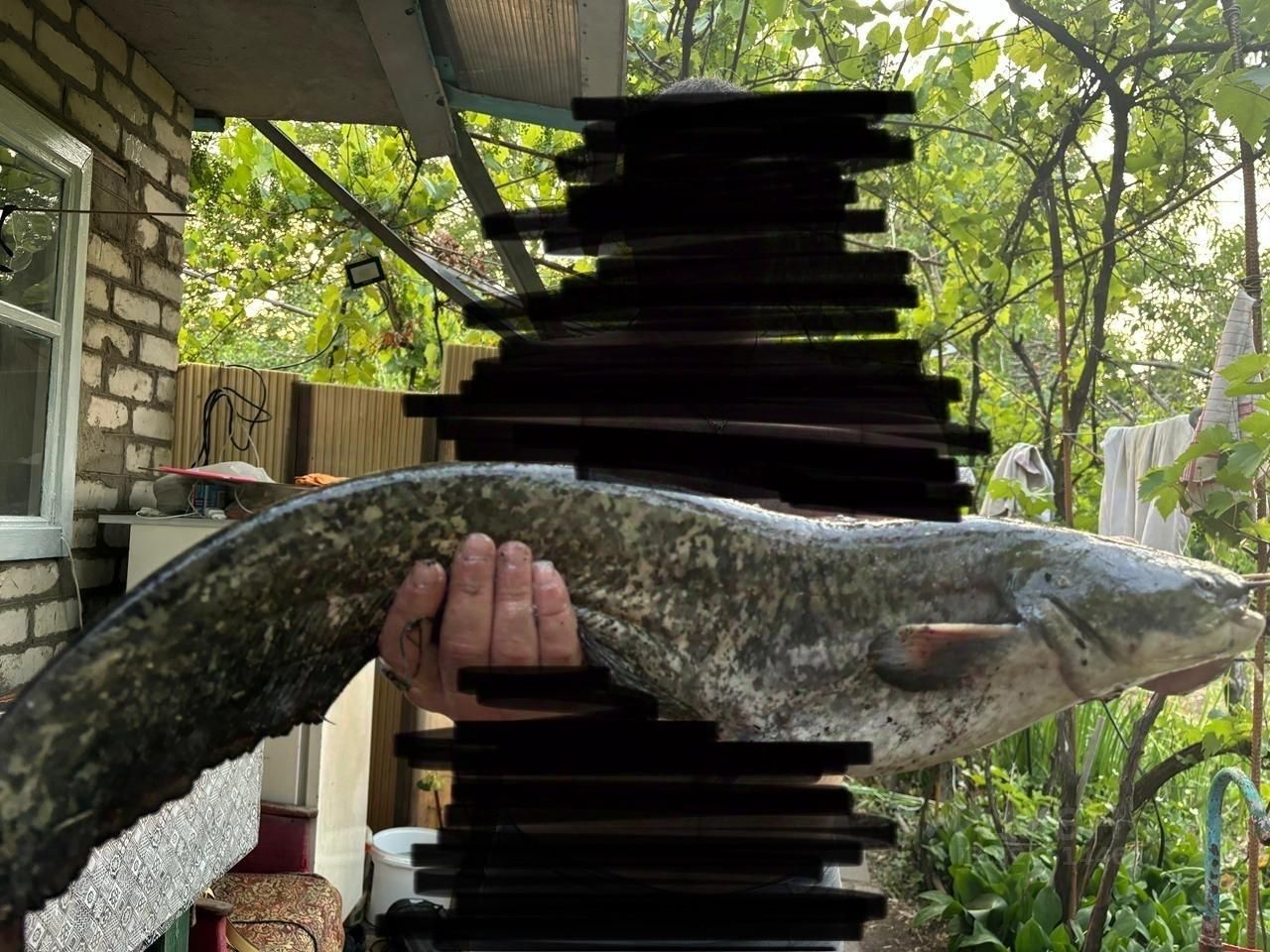 Дом 15 м² в пос. Солнечнодольск — фото 7 из 9