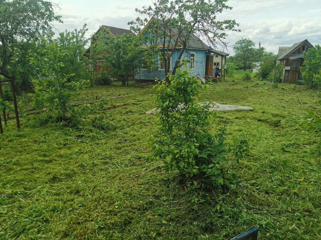 Купить дачу без посредников в Угличе, дачи от собственников (частные  объявления). Найдено 1 объявление.