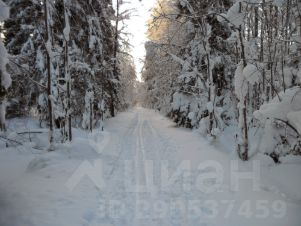 участок 6.03 сот.