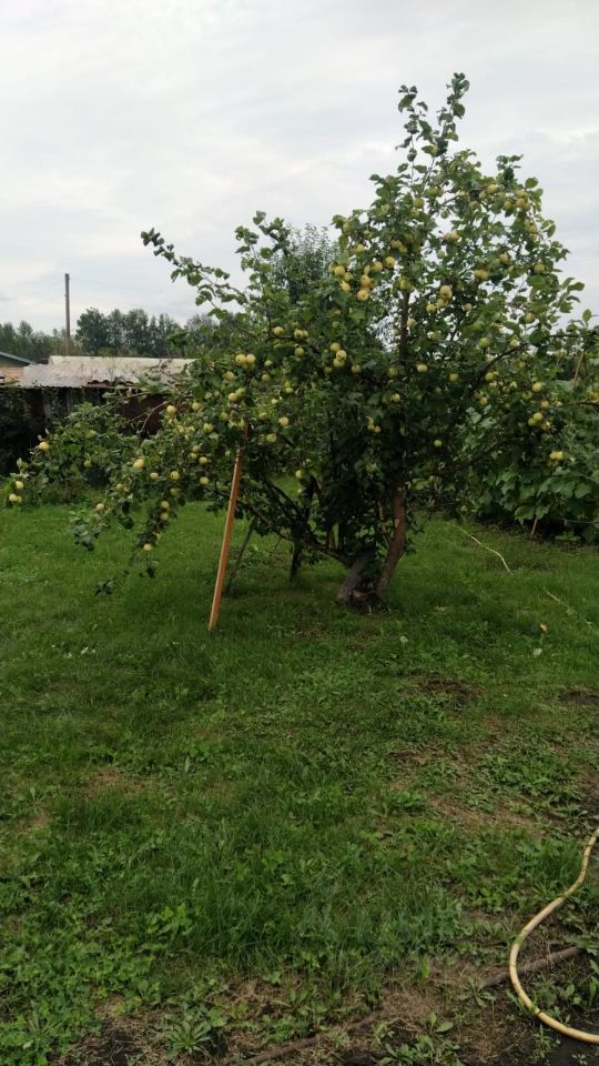 Дом 16 м² в Первомайский — фото 4