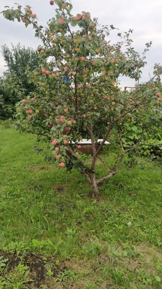 Дом 16 м² в Первомайский — фото 5