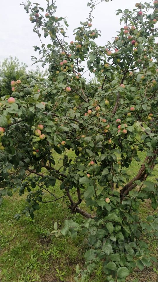 Дом 16 м² в Первомайский — фото 6 из 18