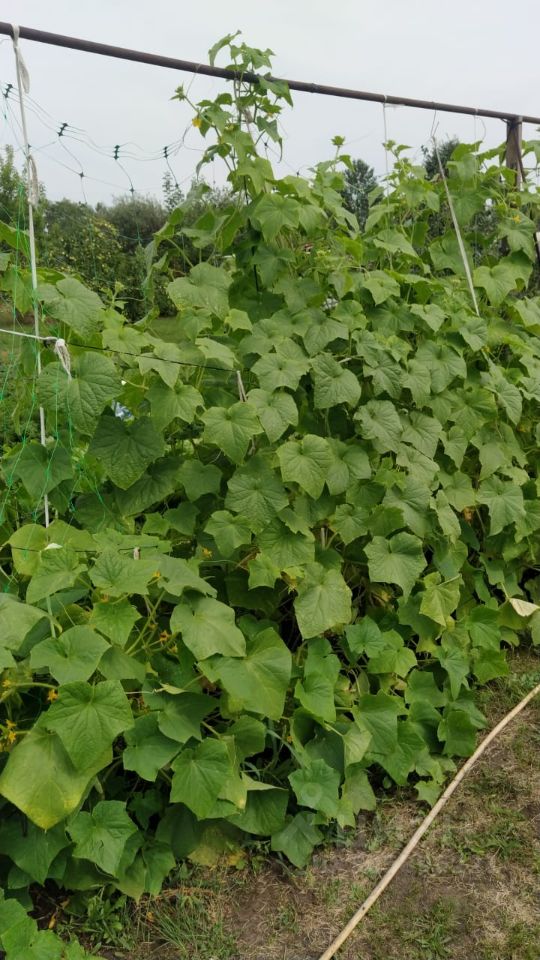 Дом 16 м² в Первомайский — фото 7 из 18