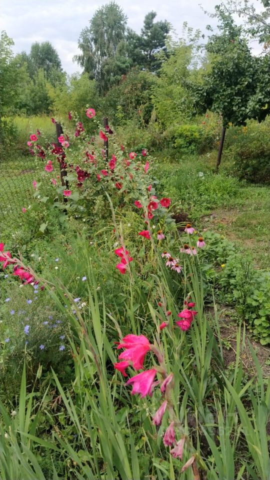 Дом 16 м² в Первомайский — фото 8 из 18