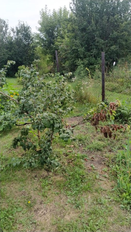 Дом 16 м² в Первомайский — фото 9 из 18