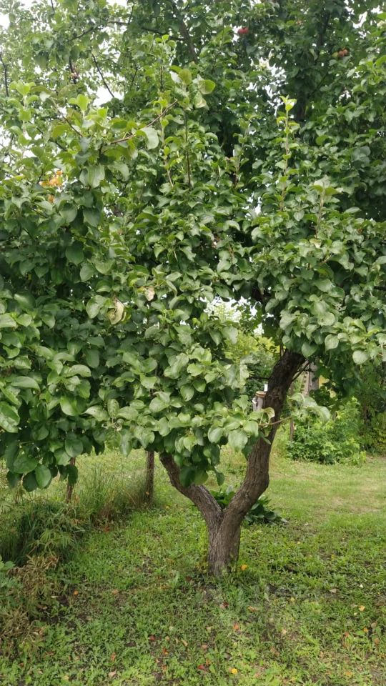 Дом 16 м² в Первомайский — фото 10 из 18