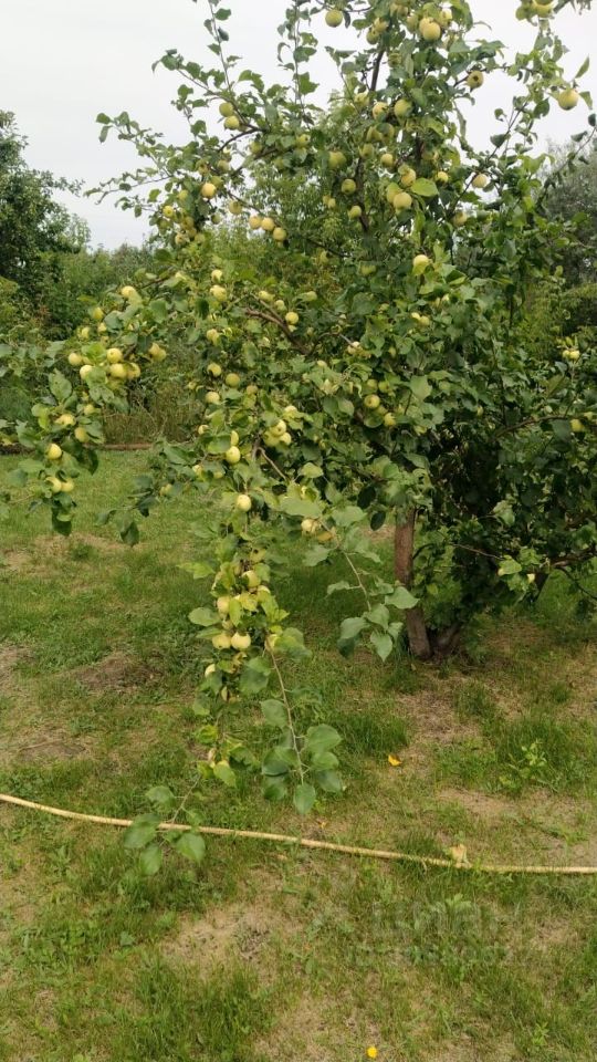 Дом 16 м² в Первомайский — фото 11 из 18