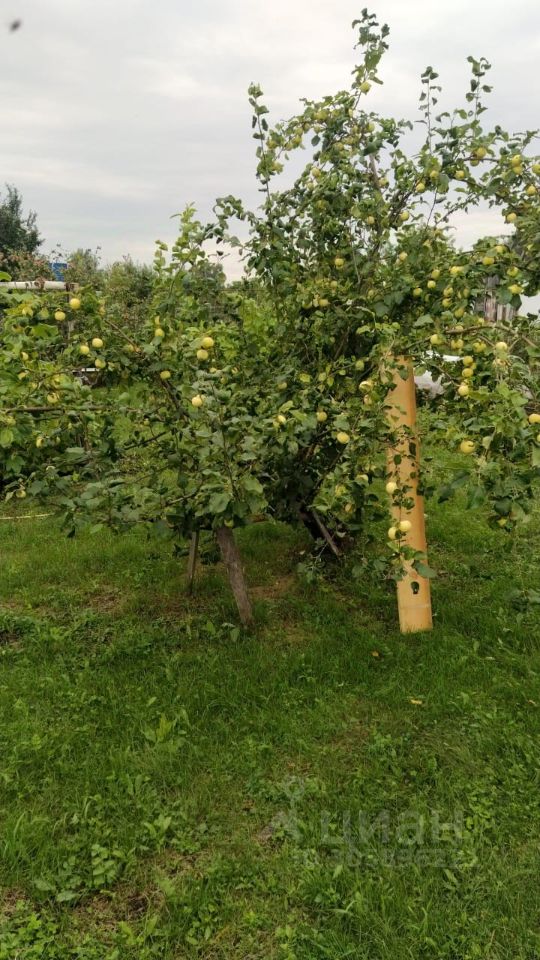 Дом 16 м² в Первомайский — фото 13 из 18