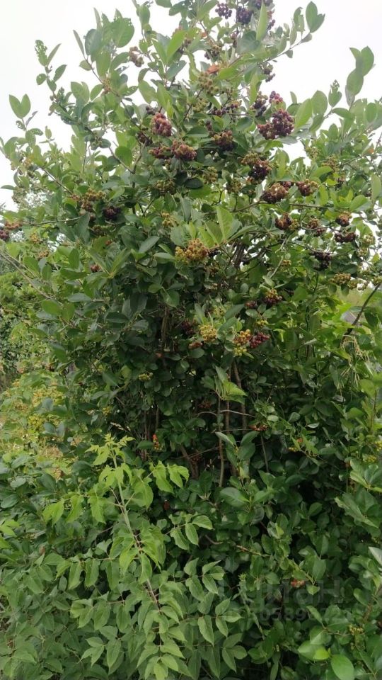 Дом 16 м² в Первомайский — фото 16 из 18