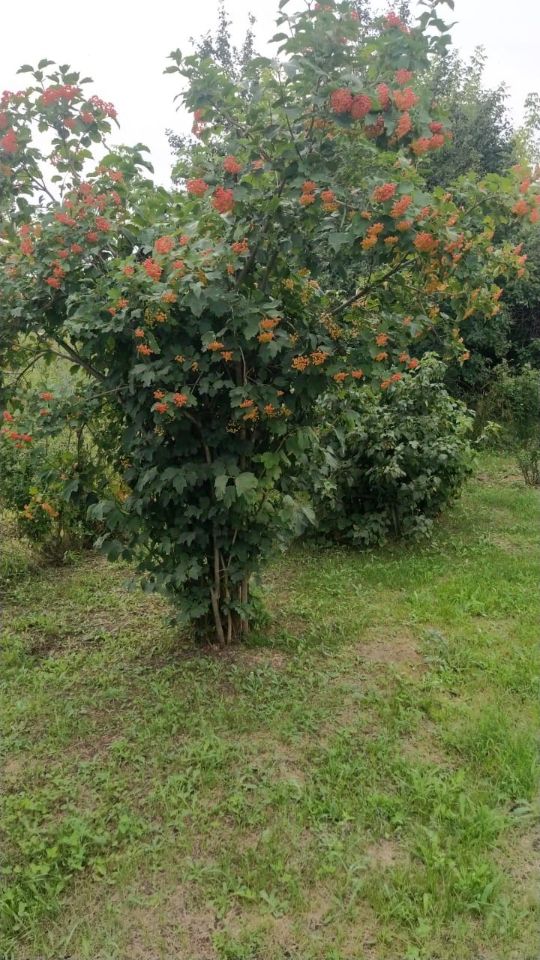 Дом 16 м² в Первомайский — фото 18 из 18