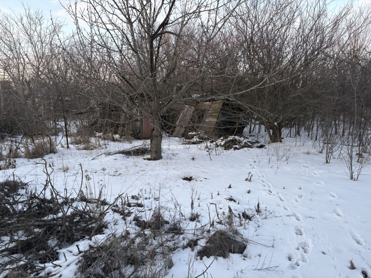 Дом в Волгоградская область, Волгоград Горчичник СНТ, ул. Персиковая (18 м²)